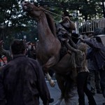 Horse Atlanta 1 Horse Atlanta 1